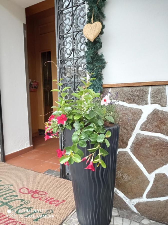 Hotel Millefiori Vigo di Fassa Dış mekan fotoğraf